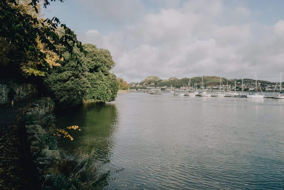 AI Innovations In Marina Docking & Navigation