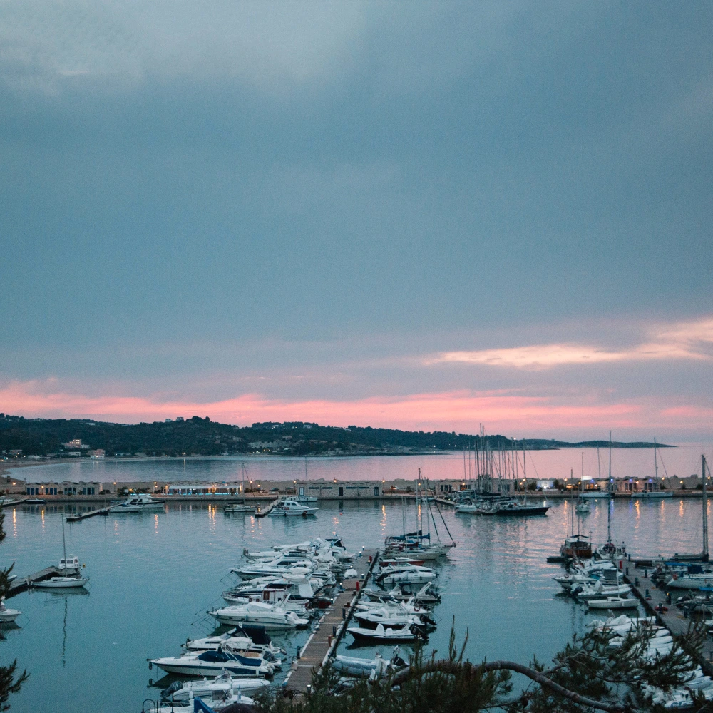 Why Your Marina Needs A Mobile App In 2026