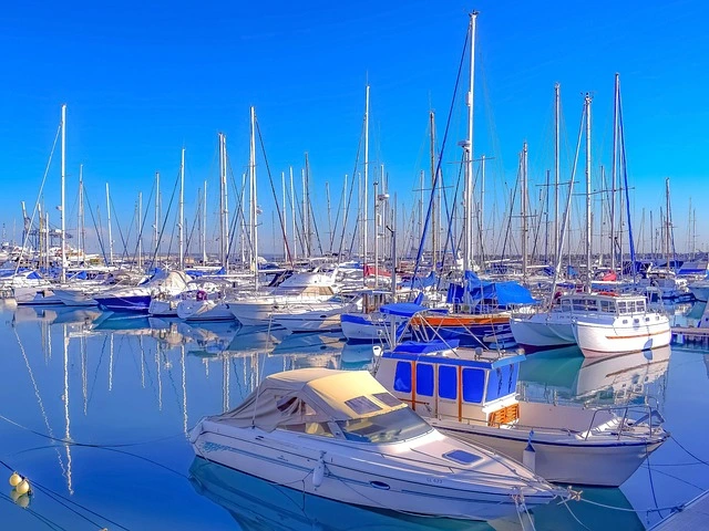 Sustainability Trends In Marina Management Software: What Customers Want 