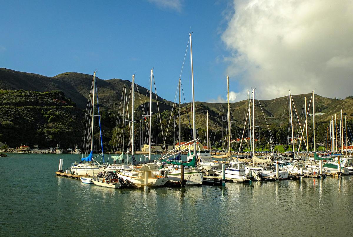 Technologies in Marina Management: Enhancing Operations